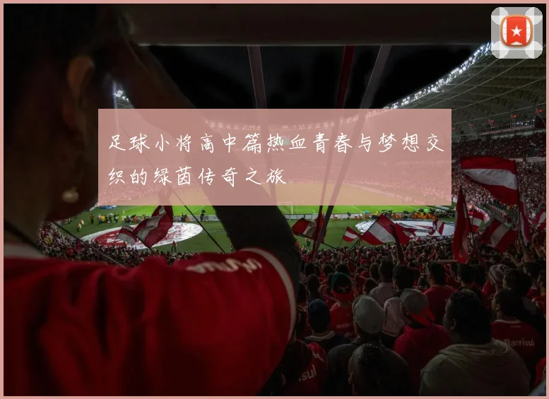 足球小将高中篇热血青春与梦想交织的绿茵传奇之旅