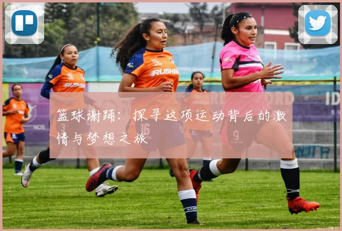 篮球谢踊：探寻这项运动背后的激情与梦想之旅