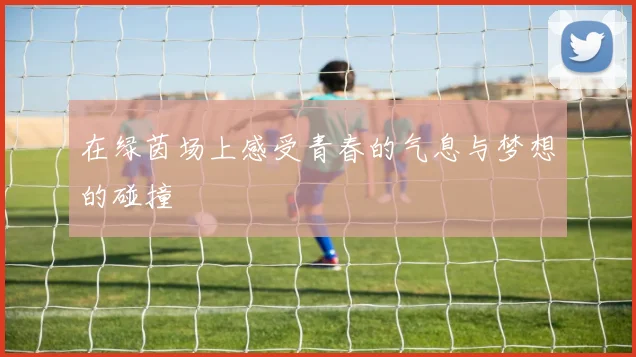 在绿茵场上感受青春的气息与梦想的碰撞