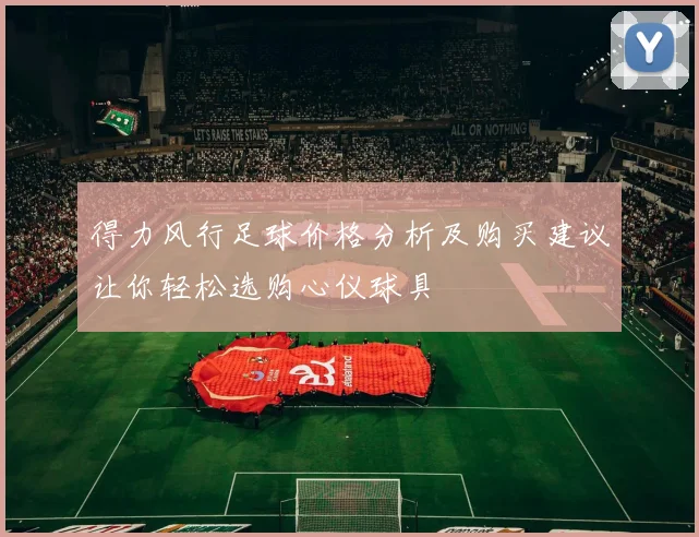 得力风行足球价格分析及购买建议让你轻松选购心仪球具