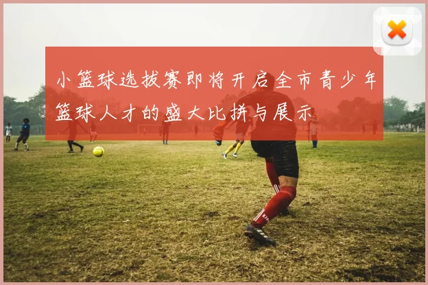 小篮球选拔赛即将开启全市青少年篮球人才的盛大比拼与展示