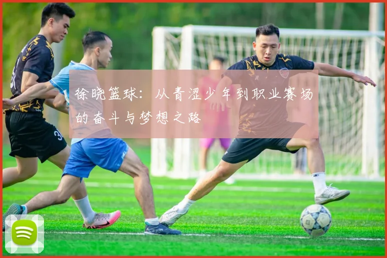 徐晓篮球：从青涩少年到职业赛场的奋斗与梦想之路