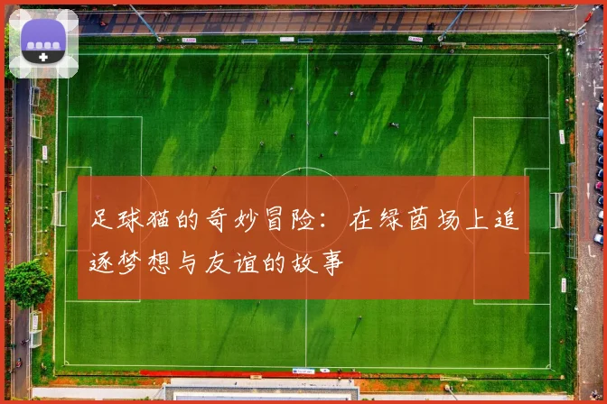 足球猫的奇妙冒险：在绿茵场上追逐梦想与友谊的故事