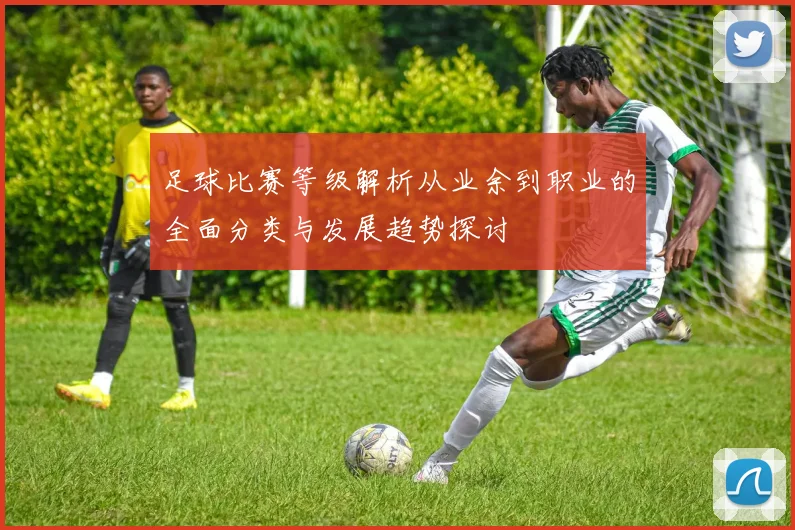 足球比赛等级解析从业余到职业的全面分类与发展趋势探讨