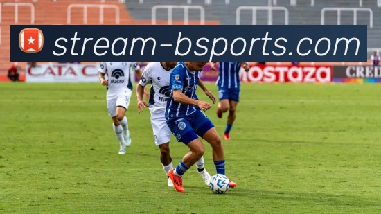 b体育官网全站App